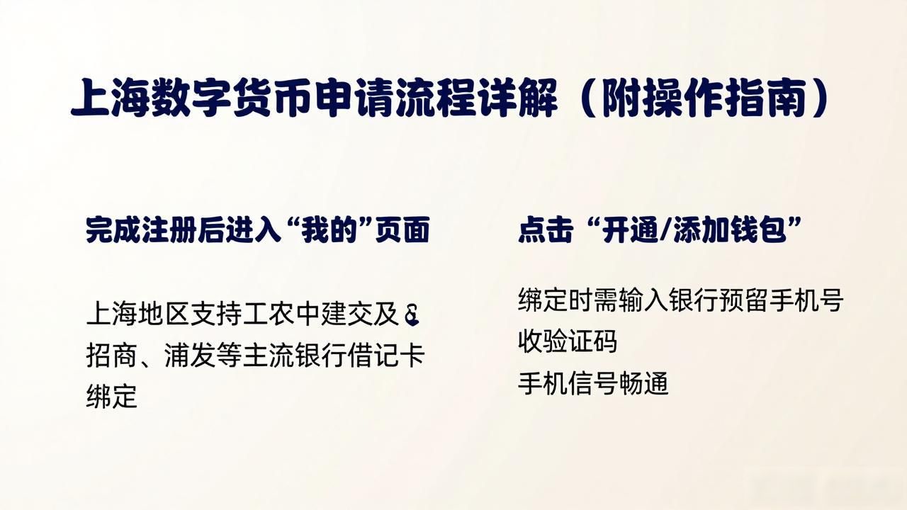 上海数字货币申请流程详解（附操作指南）